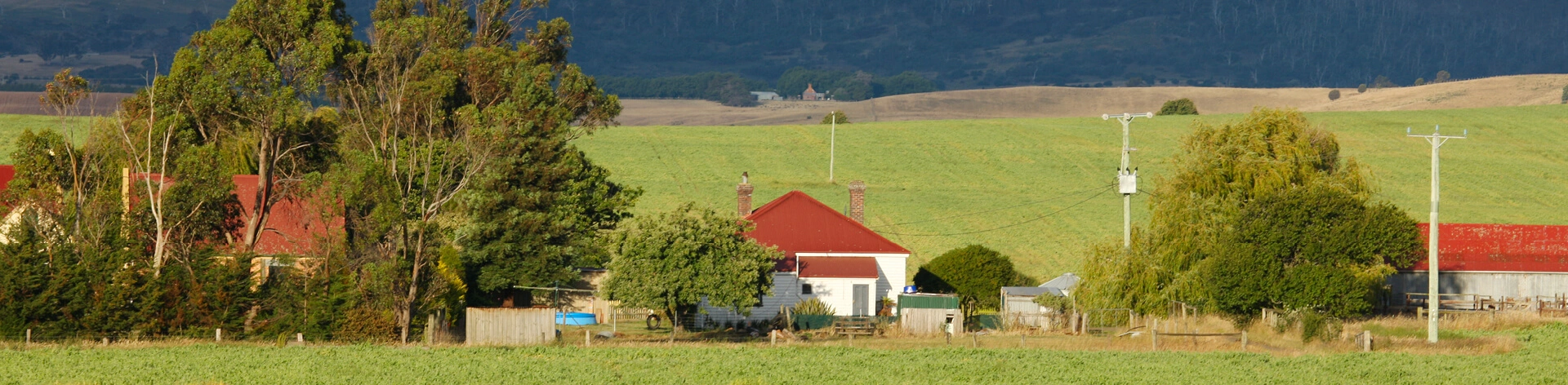 Relume Placeholder image